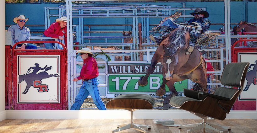 8 Seconds to Success Wall Murals