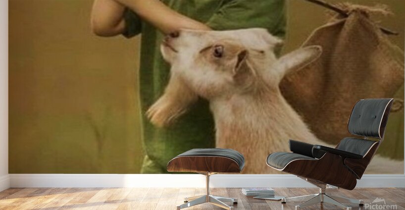 3904C4EF B81B 48F2 B720 14EA03CC484A Wall Murals