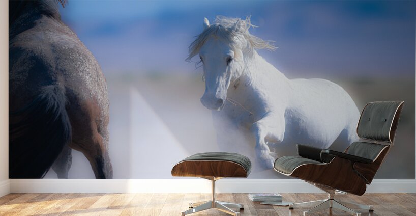 BZ9 9220 Enhanced NR Wall Murals