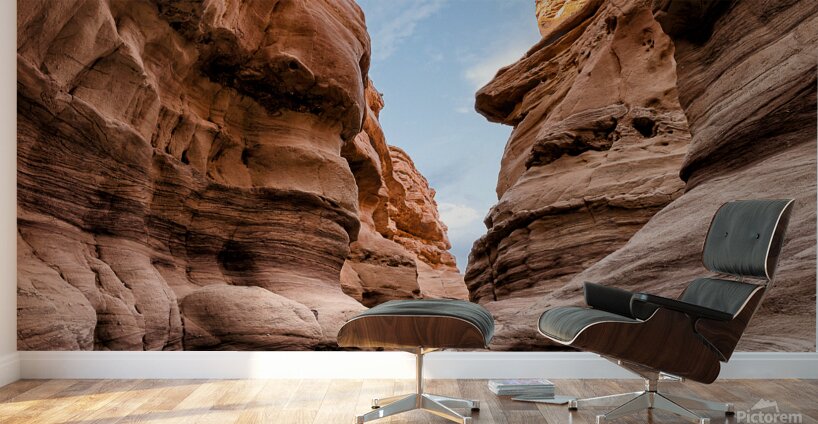 Inside a Canyon Wall Murals