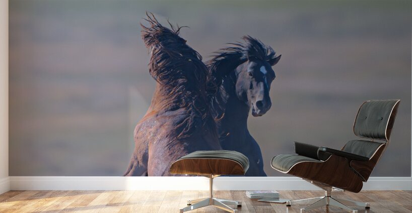 BZ9 9623 Enhanced NR 2 Wall Murals