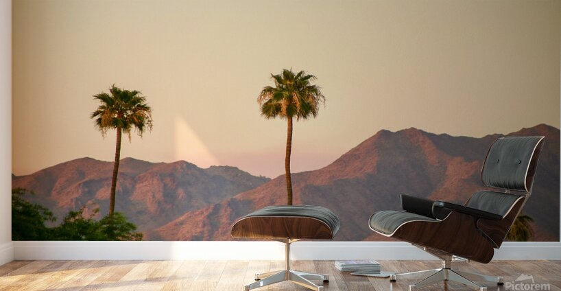 Arizona Wall Murals