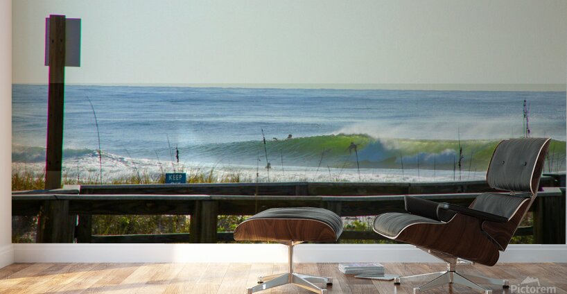 DELSOLLL Wall Murals