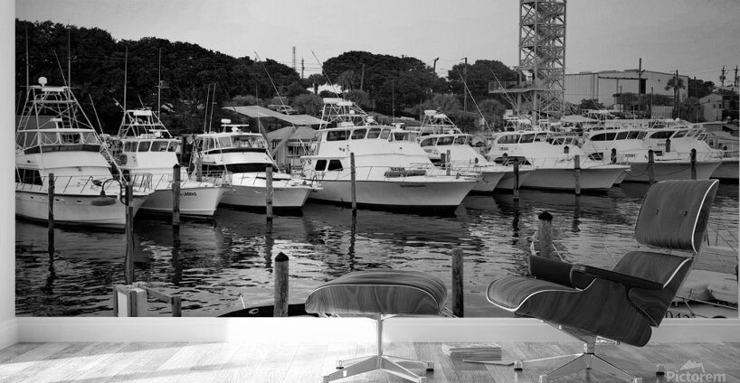 Charter Fleet 3 Wall Murals