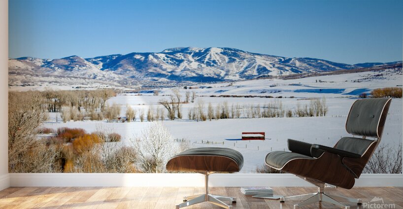 Steamboat Springs 2 Wall Murals