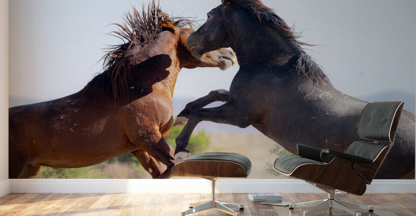 BZ9 0026 Enhanced NR 2 Wall Murals