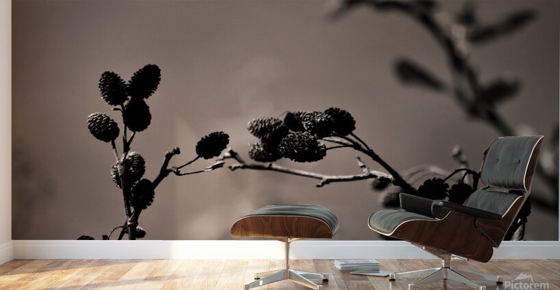 Shape study Wall Murals