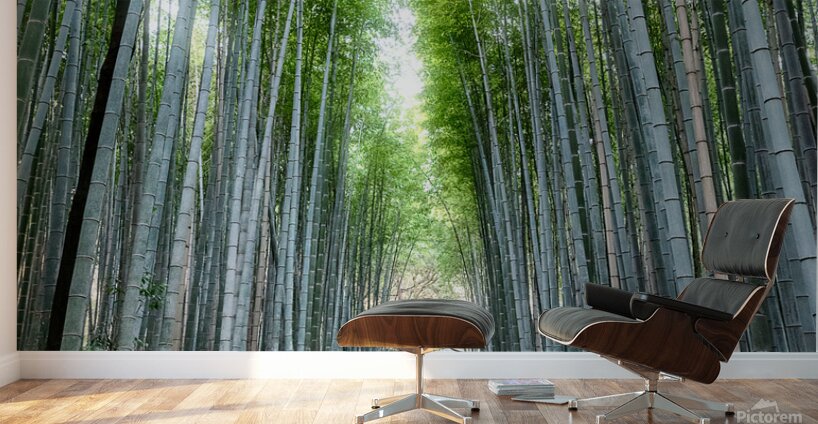 Bamboo Forest Wall Murals