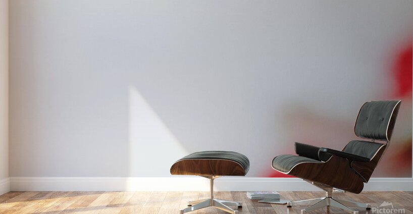 62ACD8AC E6F9 4DBB A17E 4367584A94CE Wall Murals