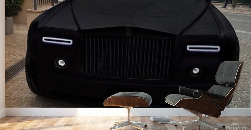 F73D0A2F 073E 4B17 90FD DE69F0880AAC Wall Murals