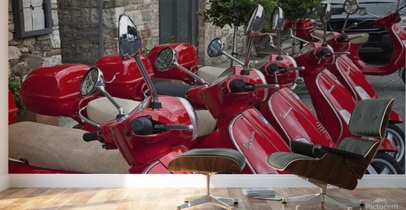 B356D0A8 4FB1 4EF4 AA2E F477C5A218B6 Wall Murals