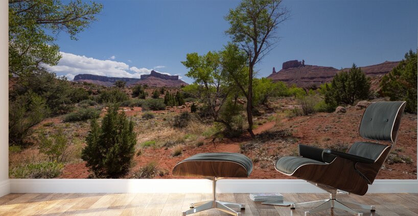 Professor Creek Utah Hiking Trail Wall Murals