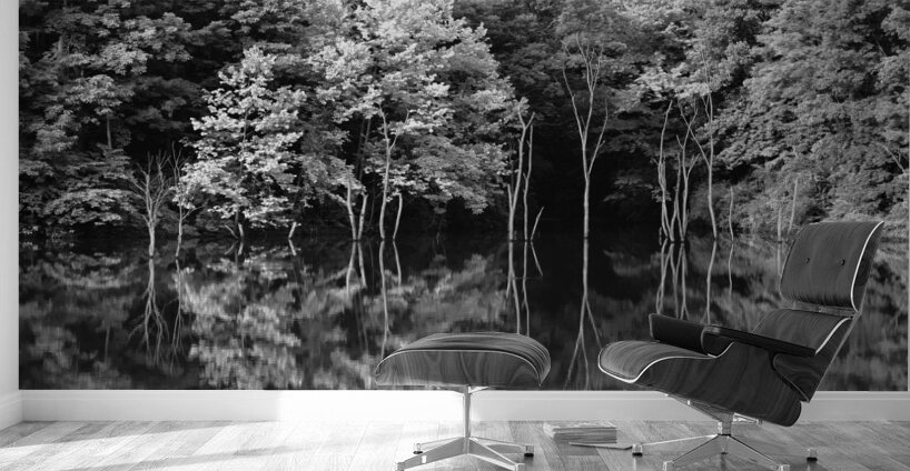 Green Abstract  1 Monochrome Wall Murals