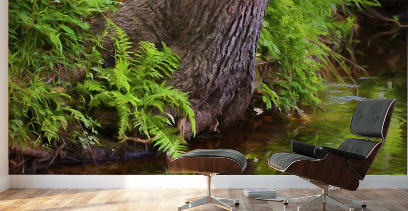 Abstract Close Up Paint 2 Wall Murals