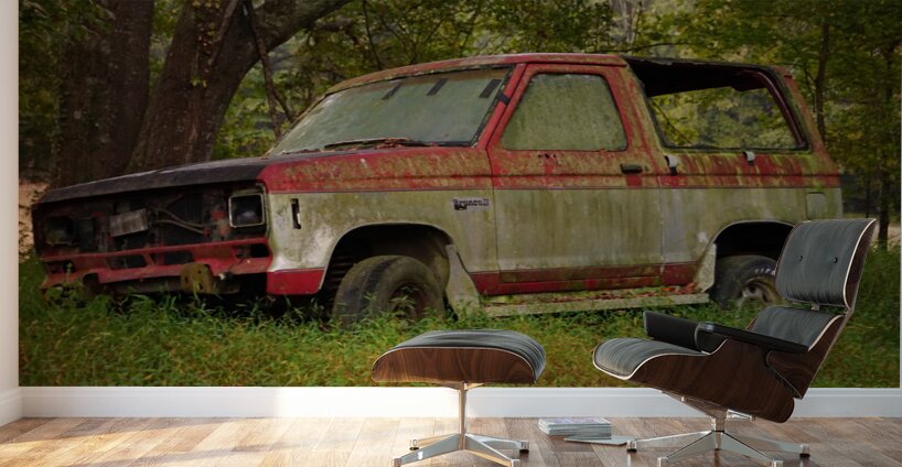 Old Bronco Wall Murals