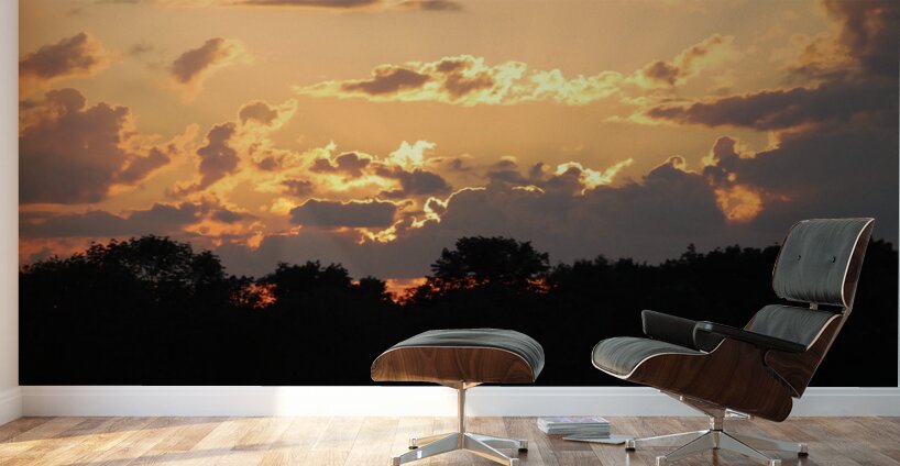 Chicagoland Speedway II Wall Murals