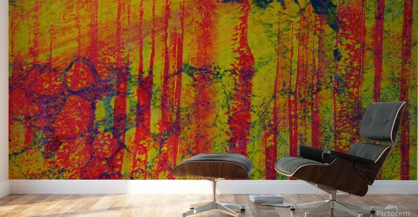 Vibrant Abstract Art with Bold Red and Yellow Pattern Wall Murals