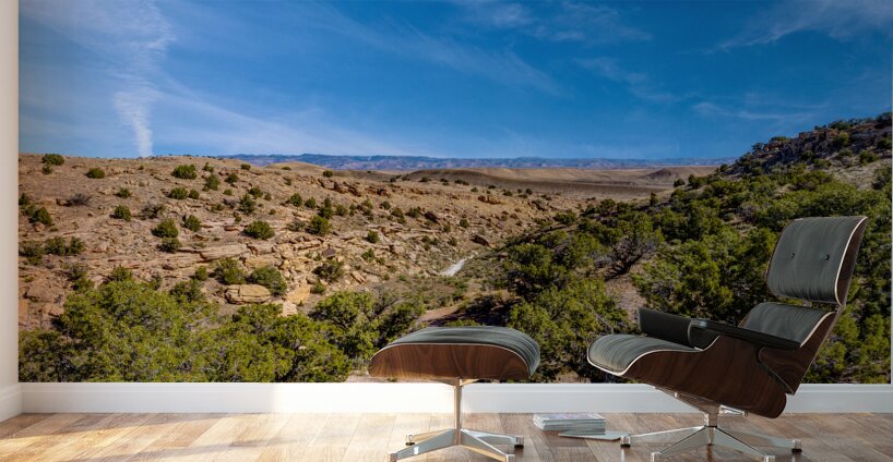 Harleys Dome Valley View Wall Murals