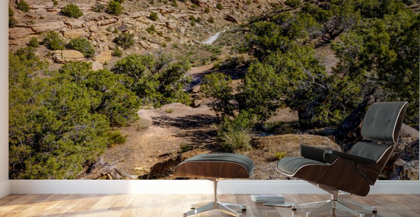 Harleys Dome Valley View Vertical Wall Murals