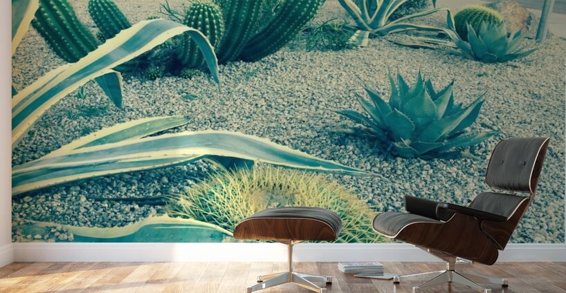 Cactus Party Wall Murals