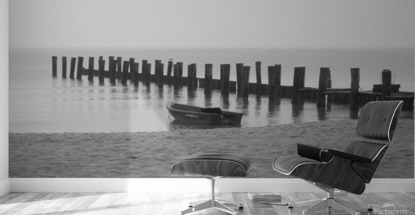 Monochromatic Seashore  Wall Murals