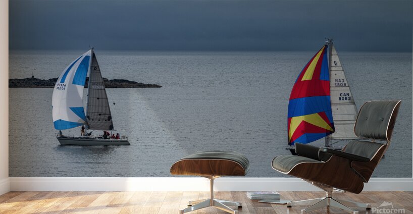  DSC9462 copy Wall Murals