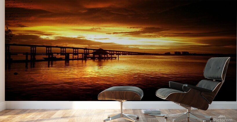 1072522 10151720191686764 36310629 o 101517201916 Wall Murals