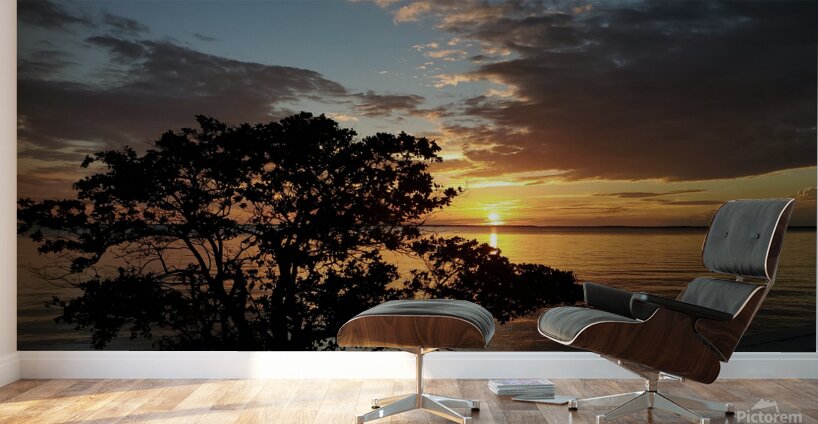 20200613 201916 Wall Murals