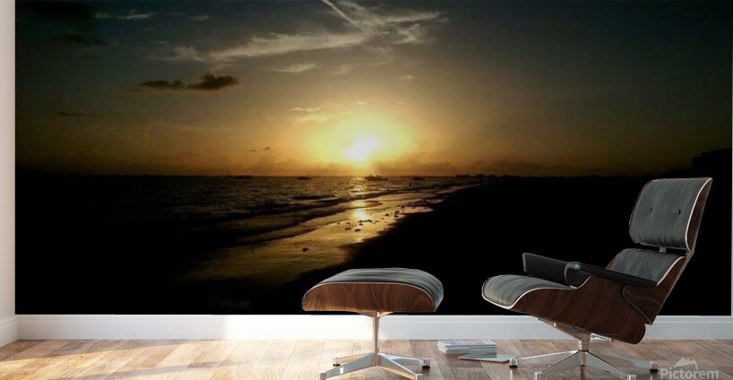 10353194 10152553476761764 6690164207072507782 n Wall Murals