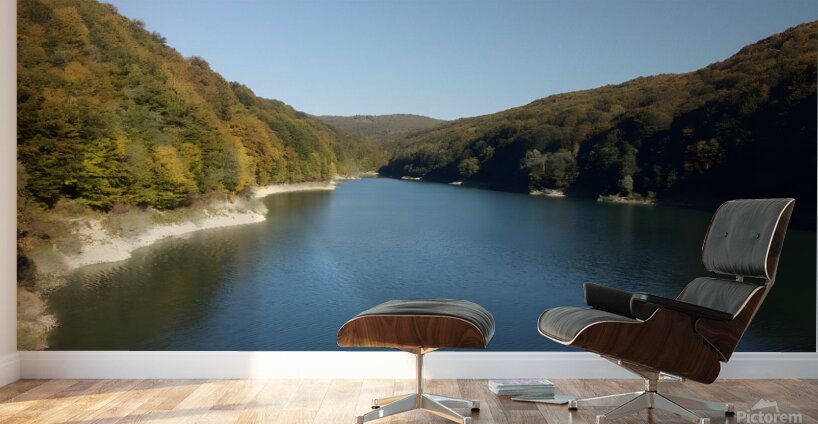 A stunning landscape of mountains trees and green leaves with water - Romania Wall Murals