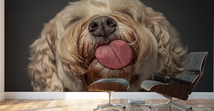 Doodle Kisses Wall Murals