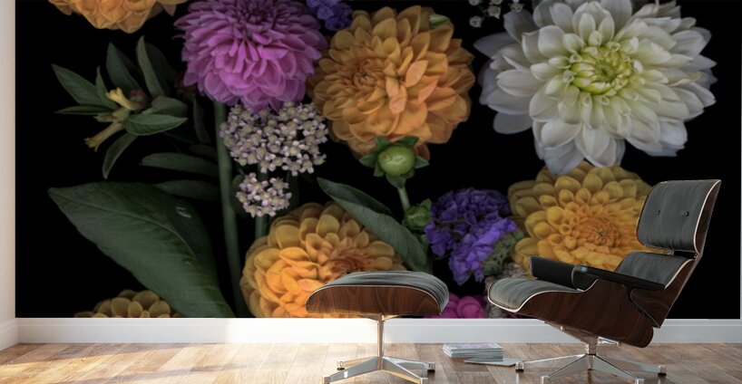 Multi color Dahlias   Wall Murals