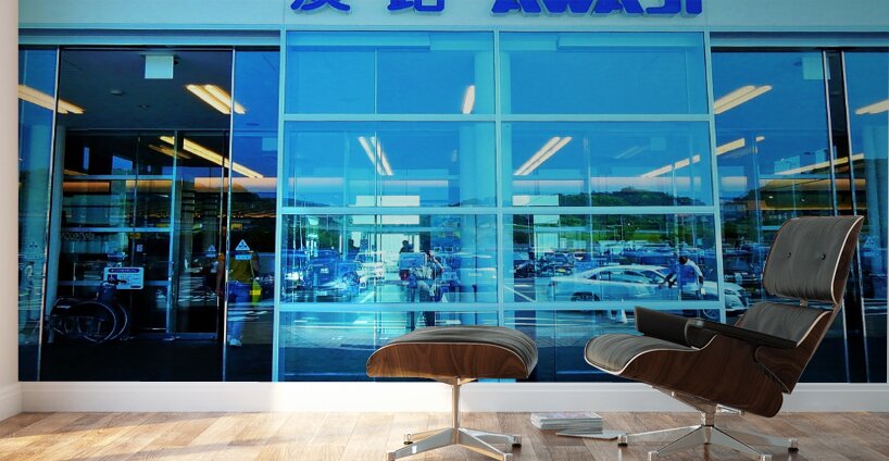 Japan-TA - Looking Thru the Shop Window Wall Murals