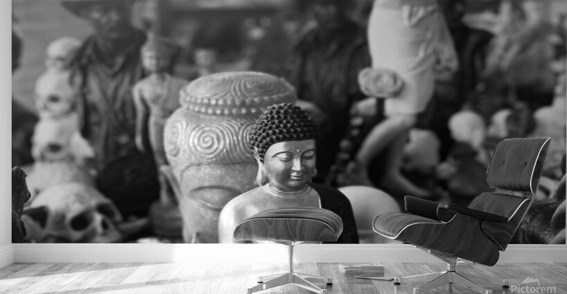 IMG 5040 Wall Murals