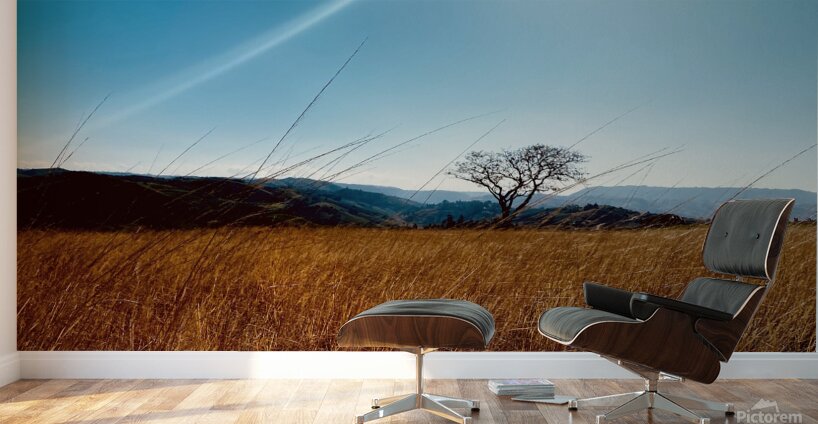 IMG 1198 Wall Murals