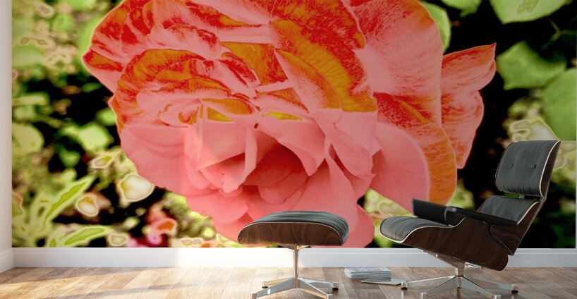 Pop Flower Wall Murals