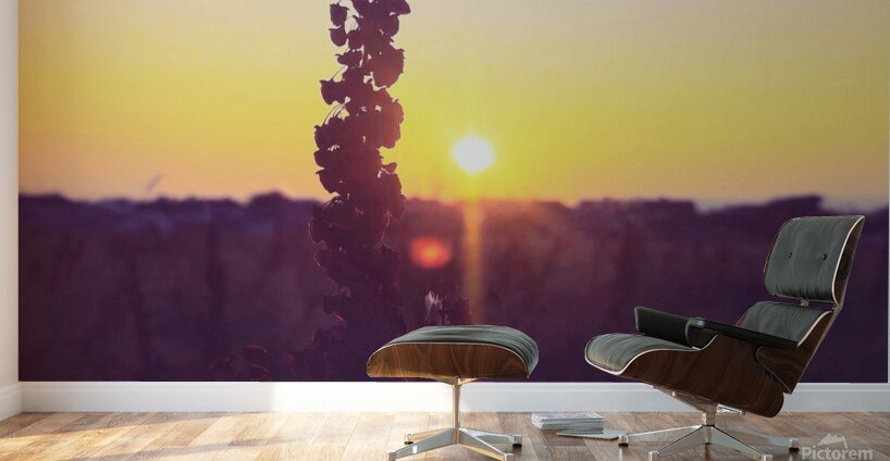 Sunset Galway  Wall Murals