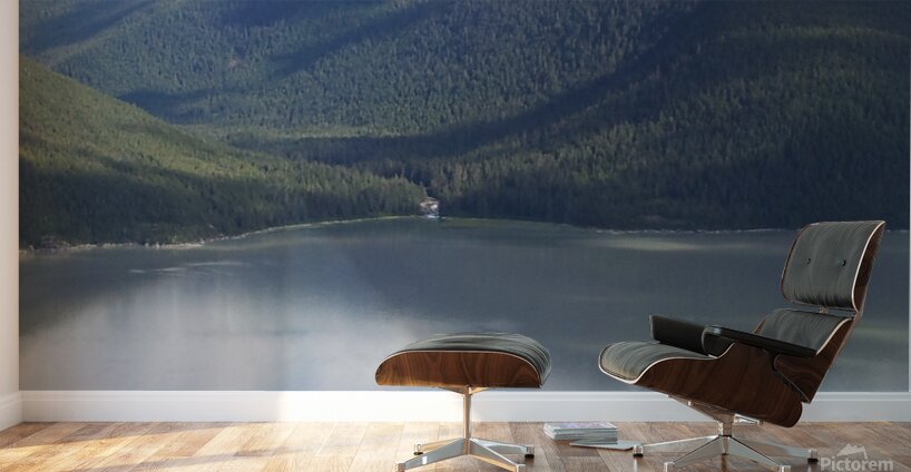 May   start of June 2012 436 Wall Murals