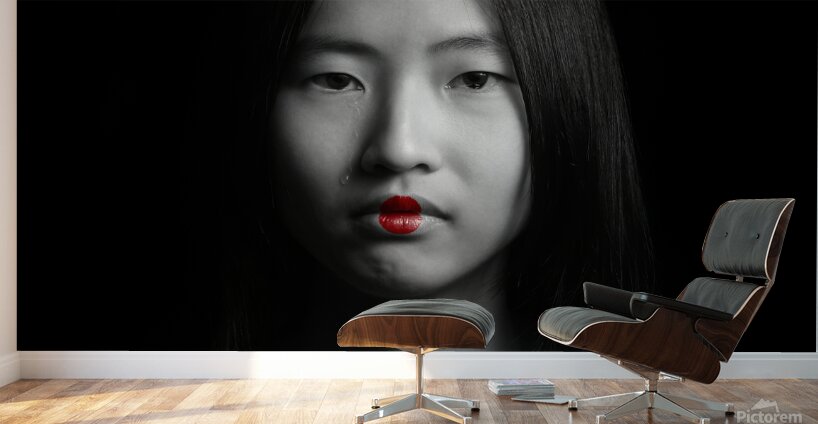 Silent Tear Wall Murals