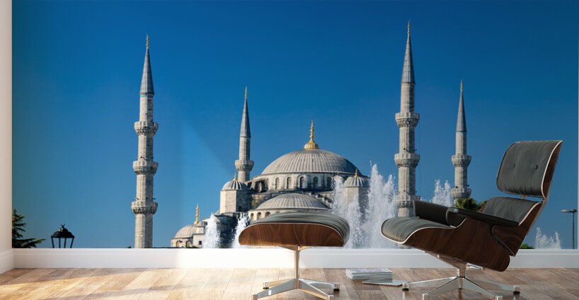 Istanbul Turkey. The Blue Mosque Wall Murals