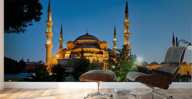Istanbul Turkey. The Blue Mosque Wall Murals