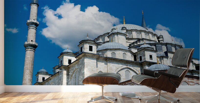 Istanbul Turkey. The Fatih Mosque Wall Murals