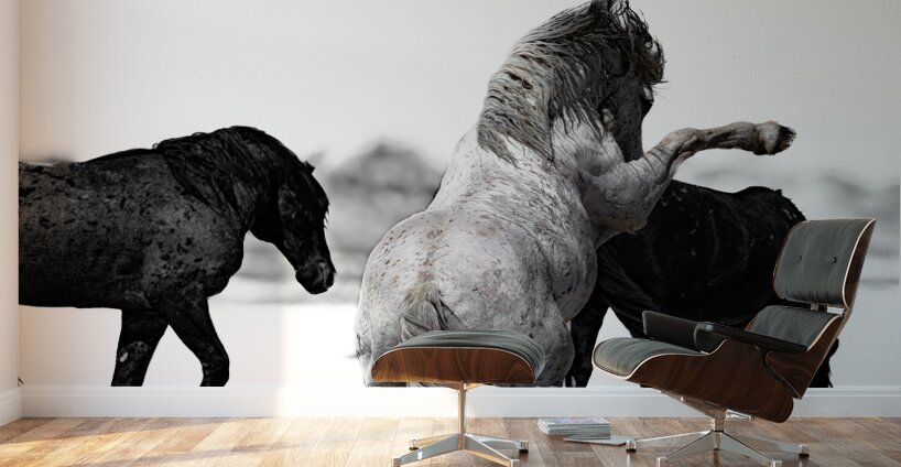 BZ9 4246 Enhanced NR Wall Murals