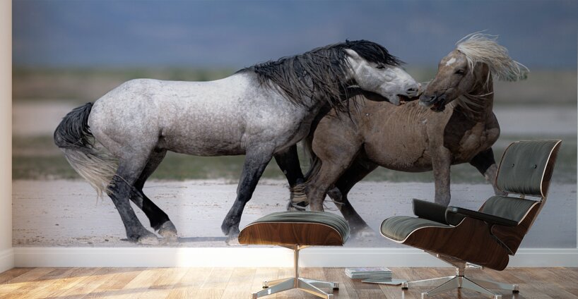 BZ9 3426 Enhanced NR Wall Murals