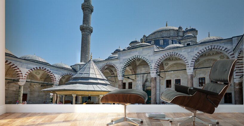 Istanbul Turkey. The Fatih Mosque Wall Murals