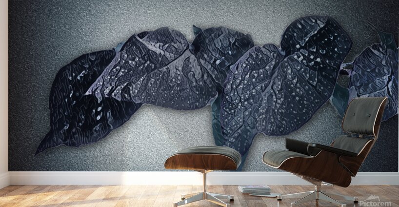 0803 Meditation In Winter Blues Wall Murals