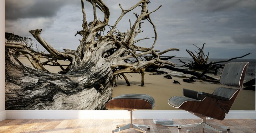 Silent Guardian Wall Murals