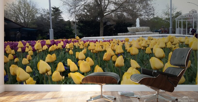 A beautiful view of the water fountain and color flowers Wall Murals