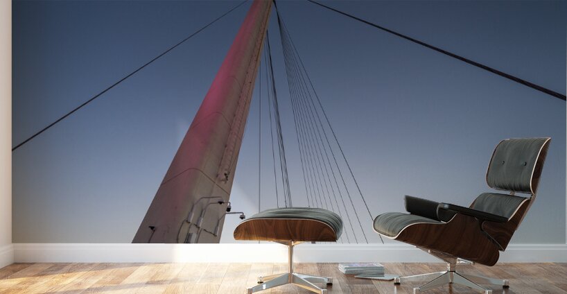 Bob Kerrey Support Architecture Wall Murals