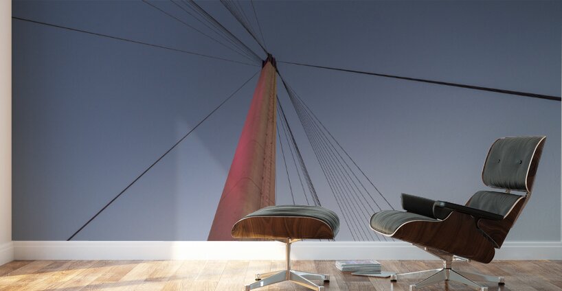 Bob Kerrey Support Beam And Cables Wall Murals